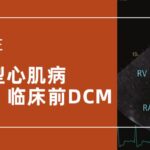 【实践】犬扩张型心肌病Part 1：临床前DCM的筛查、诊断和管理