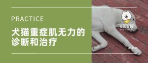 【实践】犬猫重症肌无力的诊断和治疗